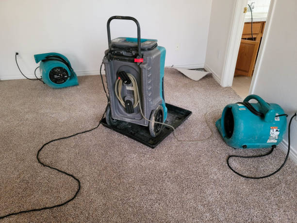 Best Local water damage restoration  in Mount Ephraim, NJ