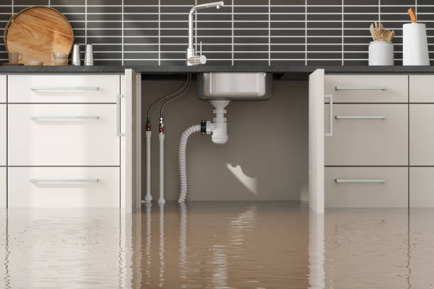 Best Emergency water damage restoration  in Mount Ephraim, NJ